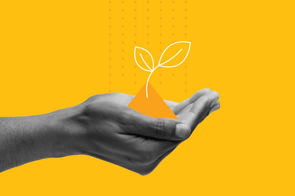 A plant growing in someone's hand.